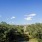 Views